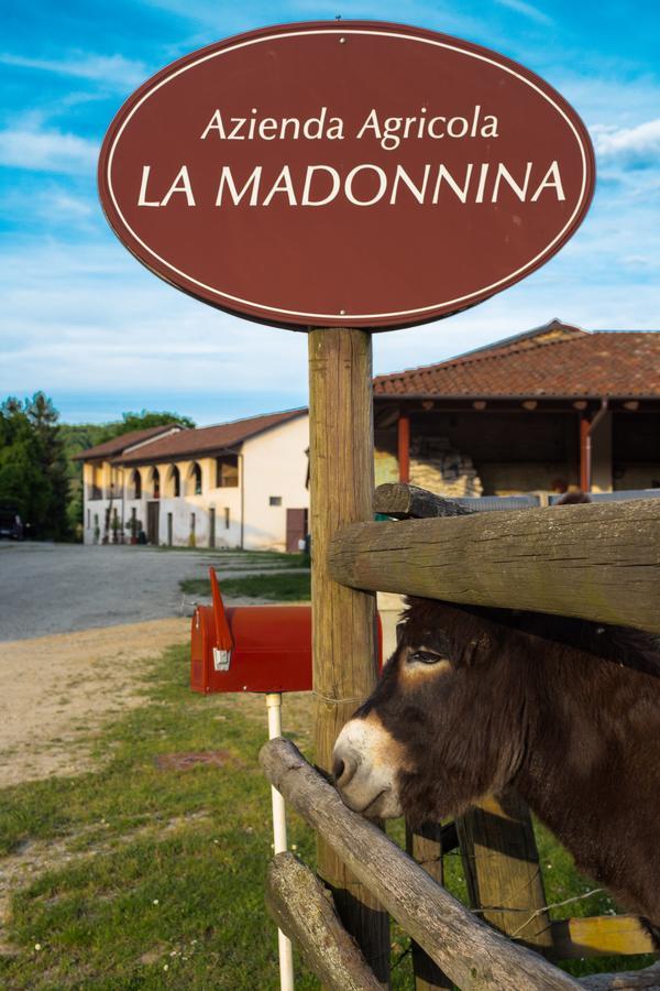 La Madonnina Agriturismo Dore Alba  Luaran gambar